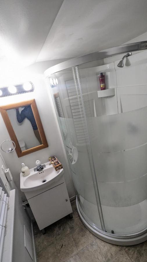 Cozy Downtown One Bedroom Free Parking Кінгстон Екстер'єр фото