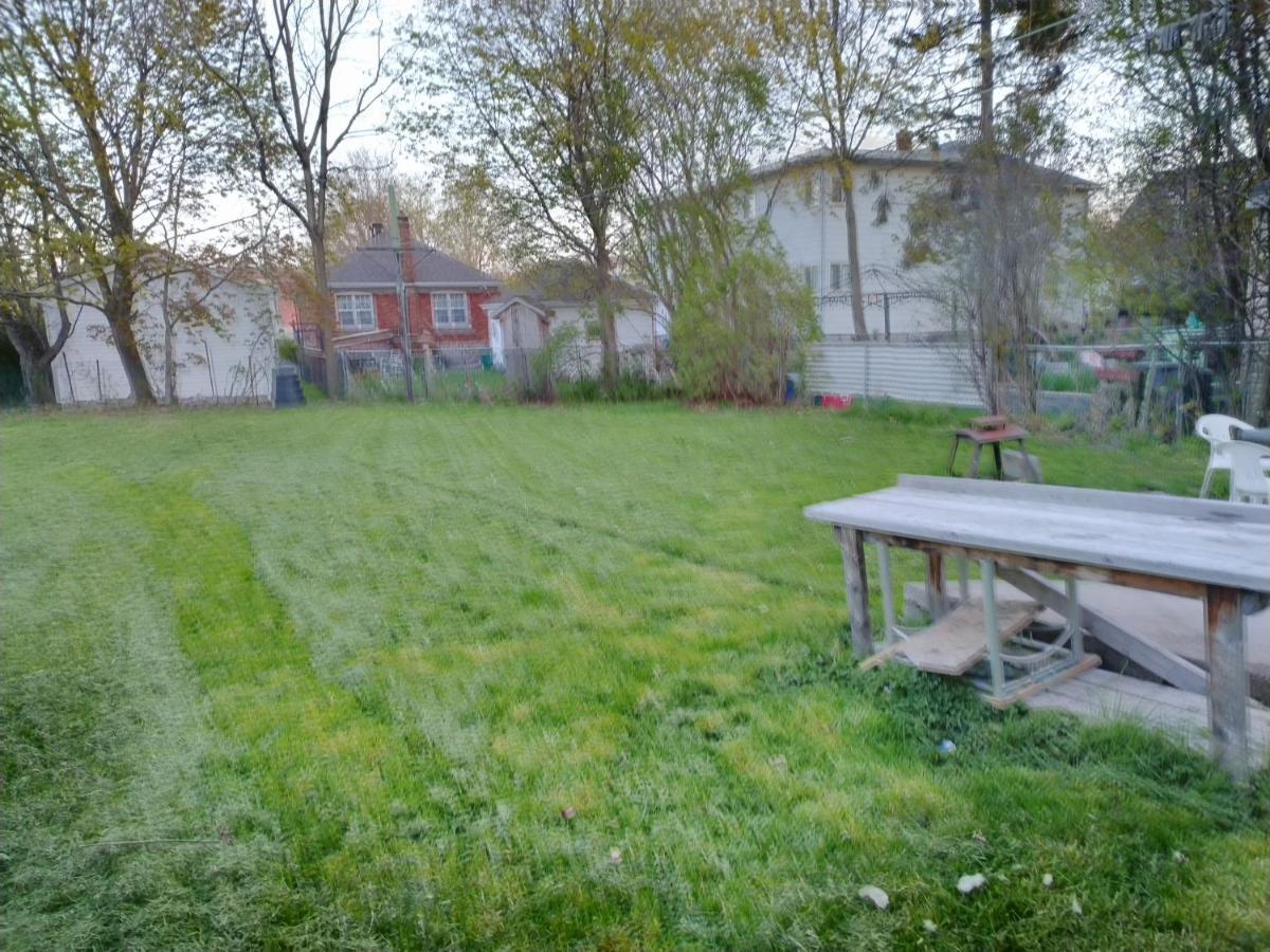 Cozy Downtown One Bedroom Free Parking Кінгстон Екстер'єр фото