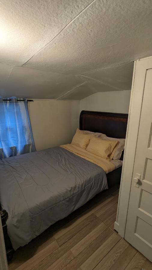 Cozy Downtown One Bedroom Free Parking Кінгстон Екстер'єр фото